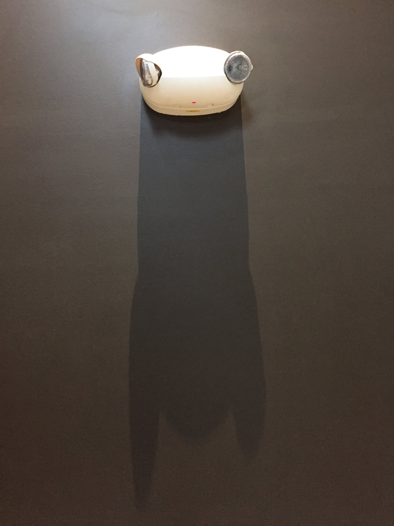 The Batfrog at Doubletree Columbus